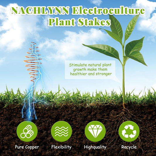 Ether Antennas for Plants – 6 Copper Electroculture Stakes for Growth & Abundance