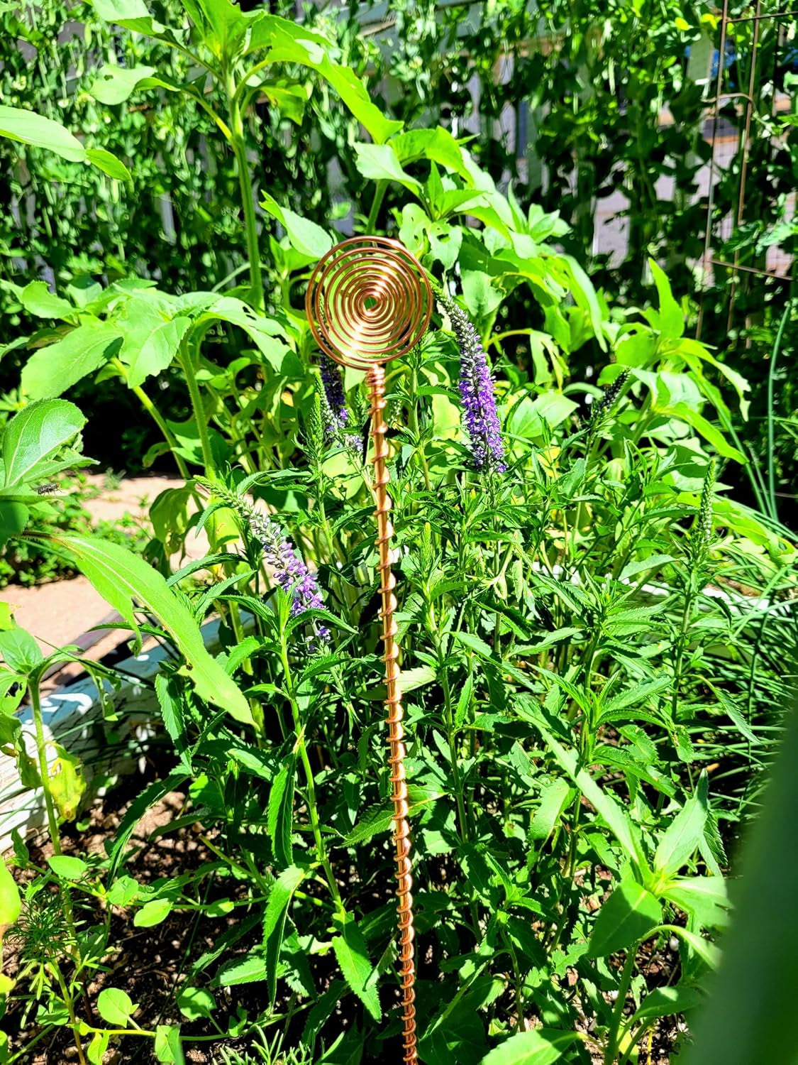 Sun Spiral Copper Electroculture Stakes – 18" Solid Copper Energy Antennas (5 Pack)