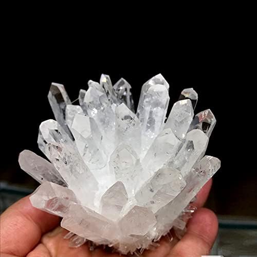 1lb Natural Raw Clear Quartz Crystal Cluster – Healing Energy Stone for Home Decor, Sleep & Dreams
