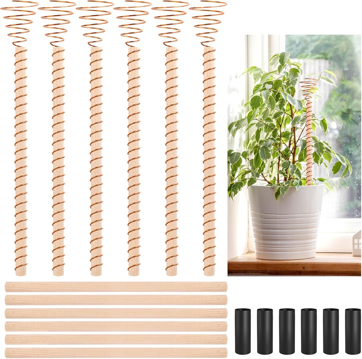 Ether Antennas for Plants – 6 Copper Electroculture Stakes for Growth & Abundance