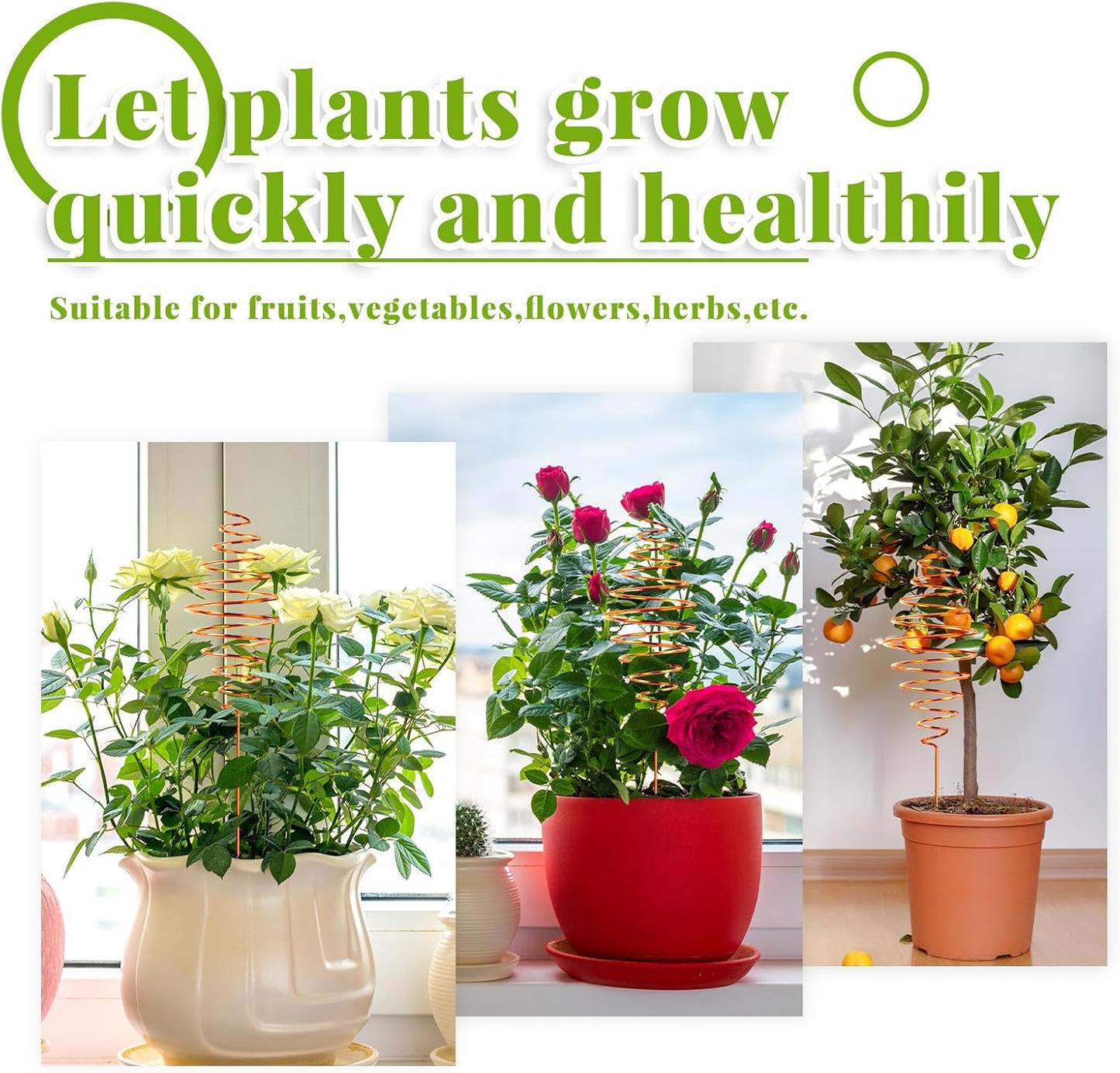 Ether Antennas for Plants – 6 Copper Electroculture Stakes for Growth & Abundance