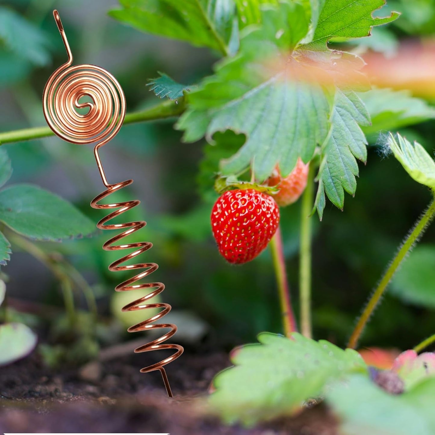 Premium Electroculture Copper Gardening Antenna Kit (3-Pack)