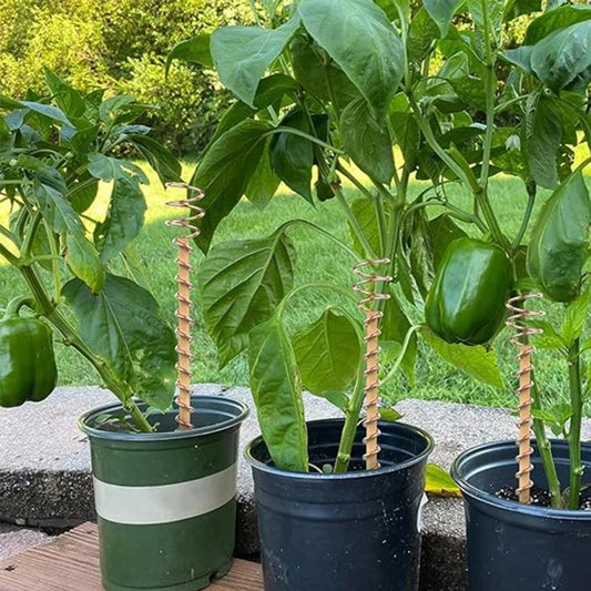 Electroculture Copper Plant Stakes – Boost Growth Naturally