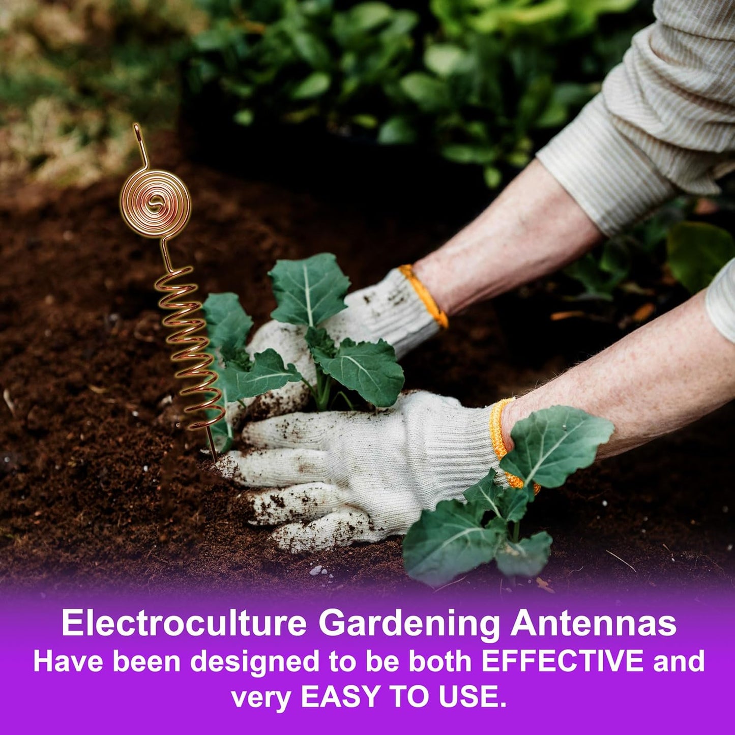 Premium Electroculture Copper Gardening Antenna Kit (3-Pack)
