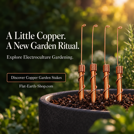 Four copper-colored garden rods with coiled wire collars and tall hooked tips standing in soil in a dark planter.