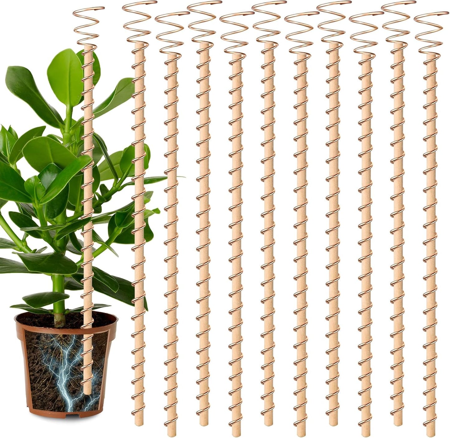 Electroculture Plant Antennas – Copper Energy Stakes for Next-Level Growth (10 Pcs)