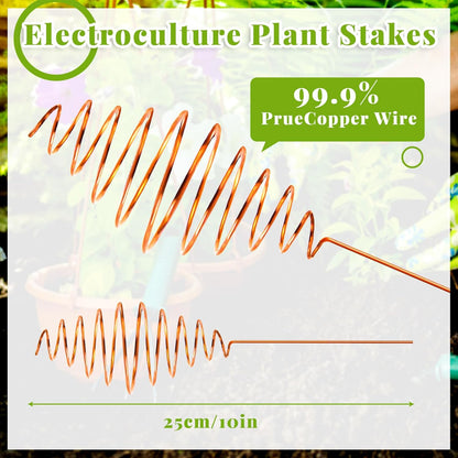 Ether Antennas for Plants – 6 Copper Electroculture Stakes for Growth & Abundance