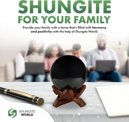 Authentic Shungite Sphere with Stand
