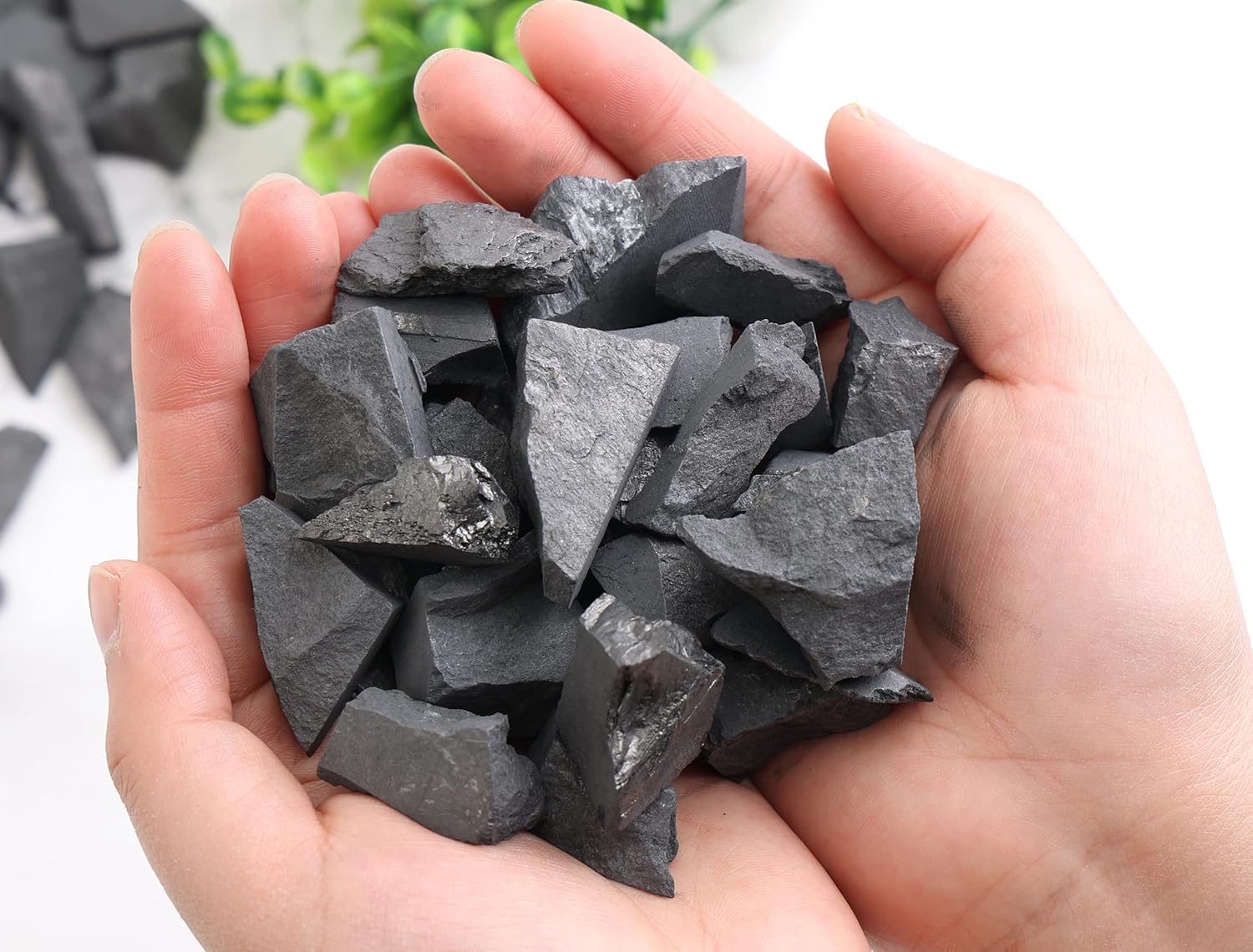 Karelia Raw Shungite Stones – Natural Minerals