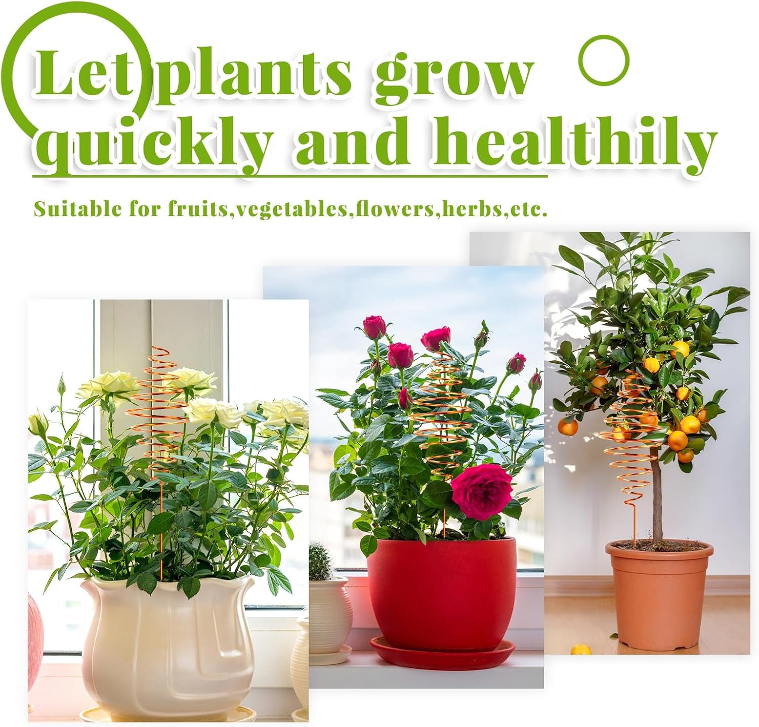 Ether Antennas for Plants – 6 Copper Electroculture Stakes for Growth & Abundance