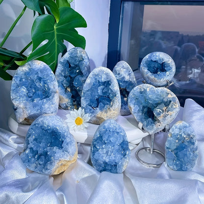 Enormous Genuine Celestite Crystal Egg Sparkling Sky Blue Druzy Cluster