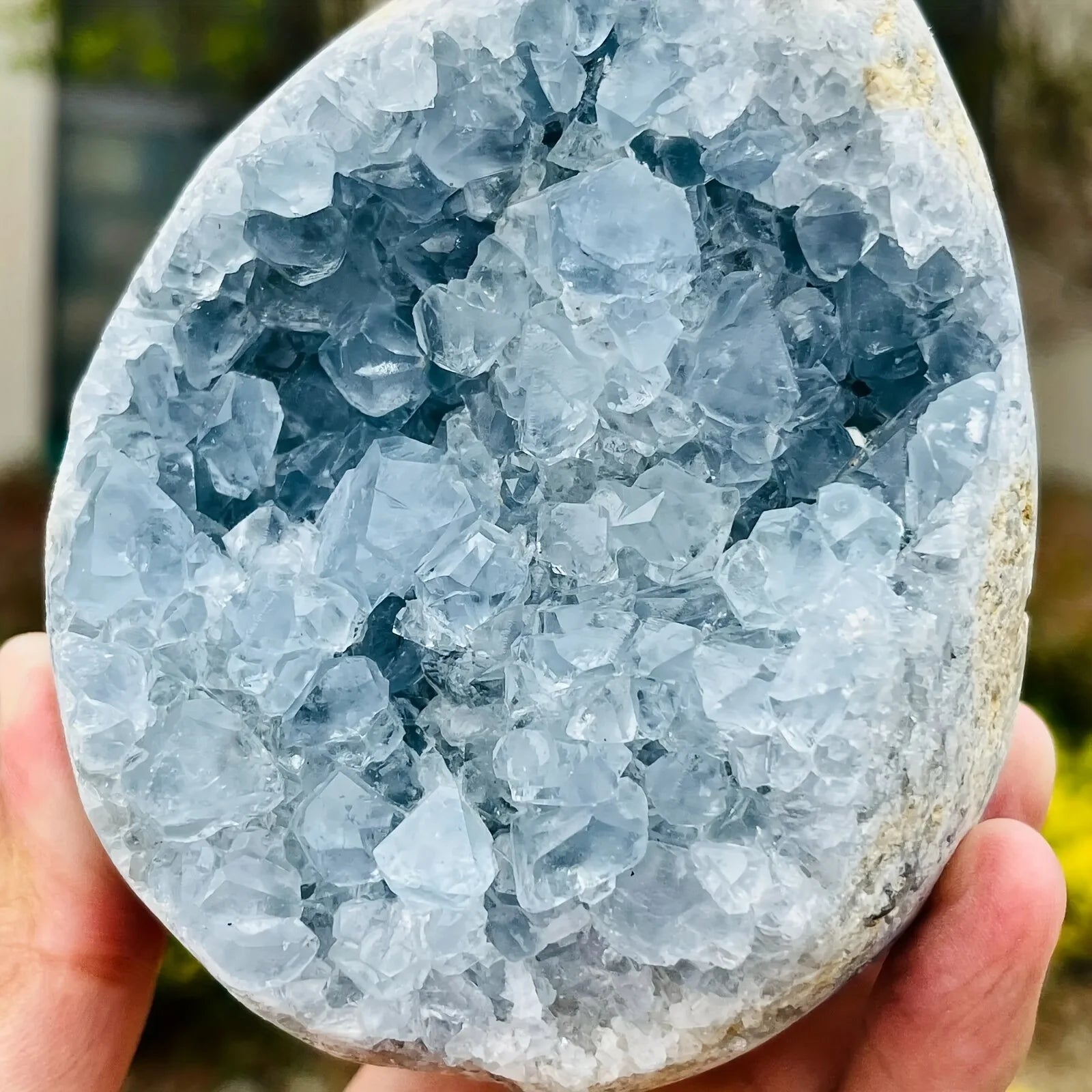 Enormous Genuine Celestite Crystal Egg Sparkling Sky Blue Druzy Cluster