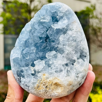 Enormous Genuine Celestite Crystal Egg Sparkling Sky Blue Druzy Cluster