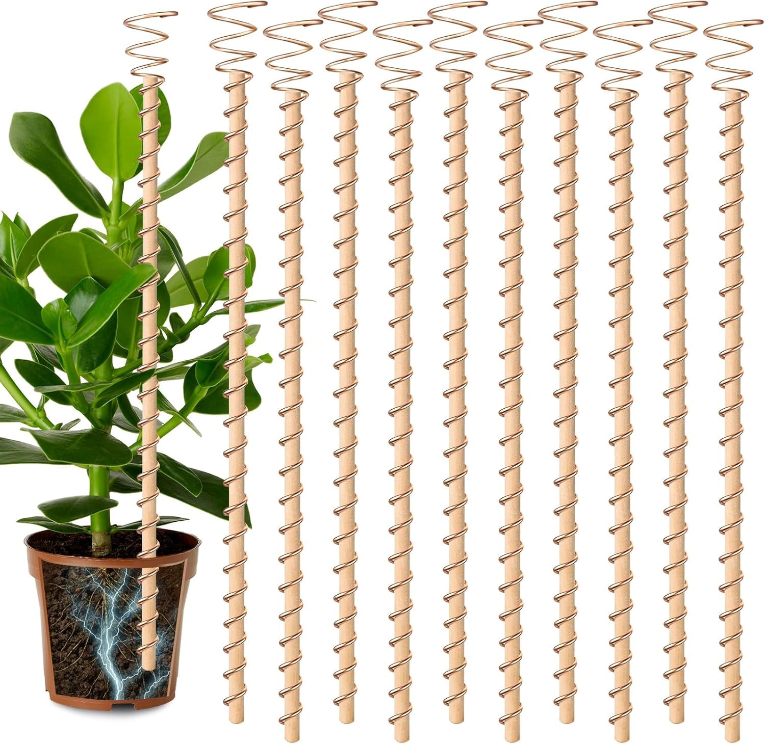 Electroculture Plant Antennas – Copper Energy Stakes for Next-Level Growth (10 Pcs)