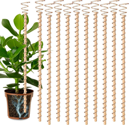Electroculture Plant Antennas – Copper Energy Stakes for Next-Level Growth (10 Pcs)