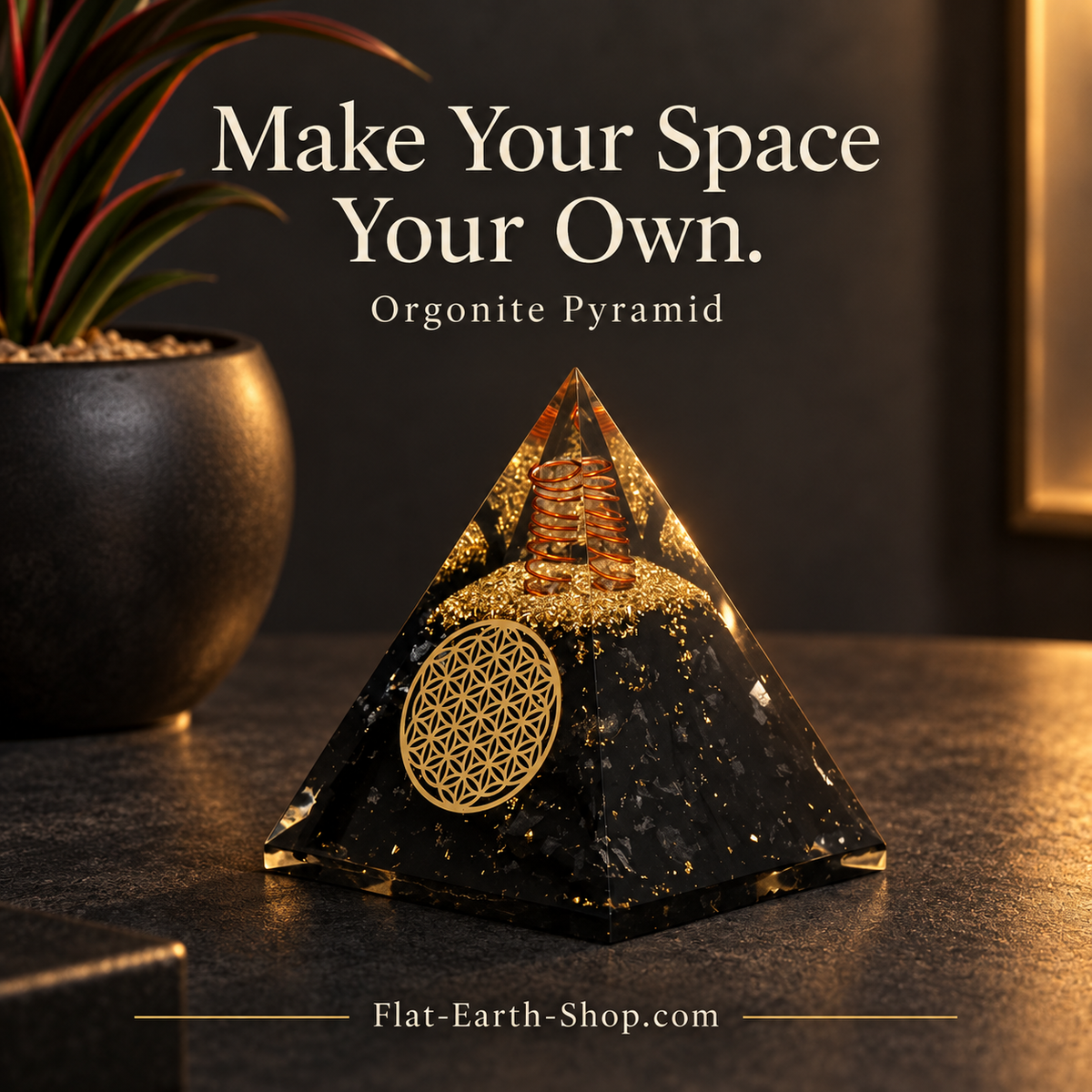 Black and gold pyramid with a circular geometric emblem, displayed beside a potted plant.