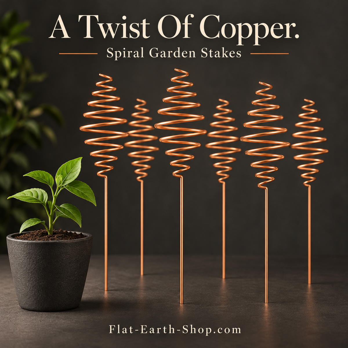Six copper-colored garden stakes with tapered spiral tops displayed upright beside a small potted plant.