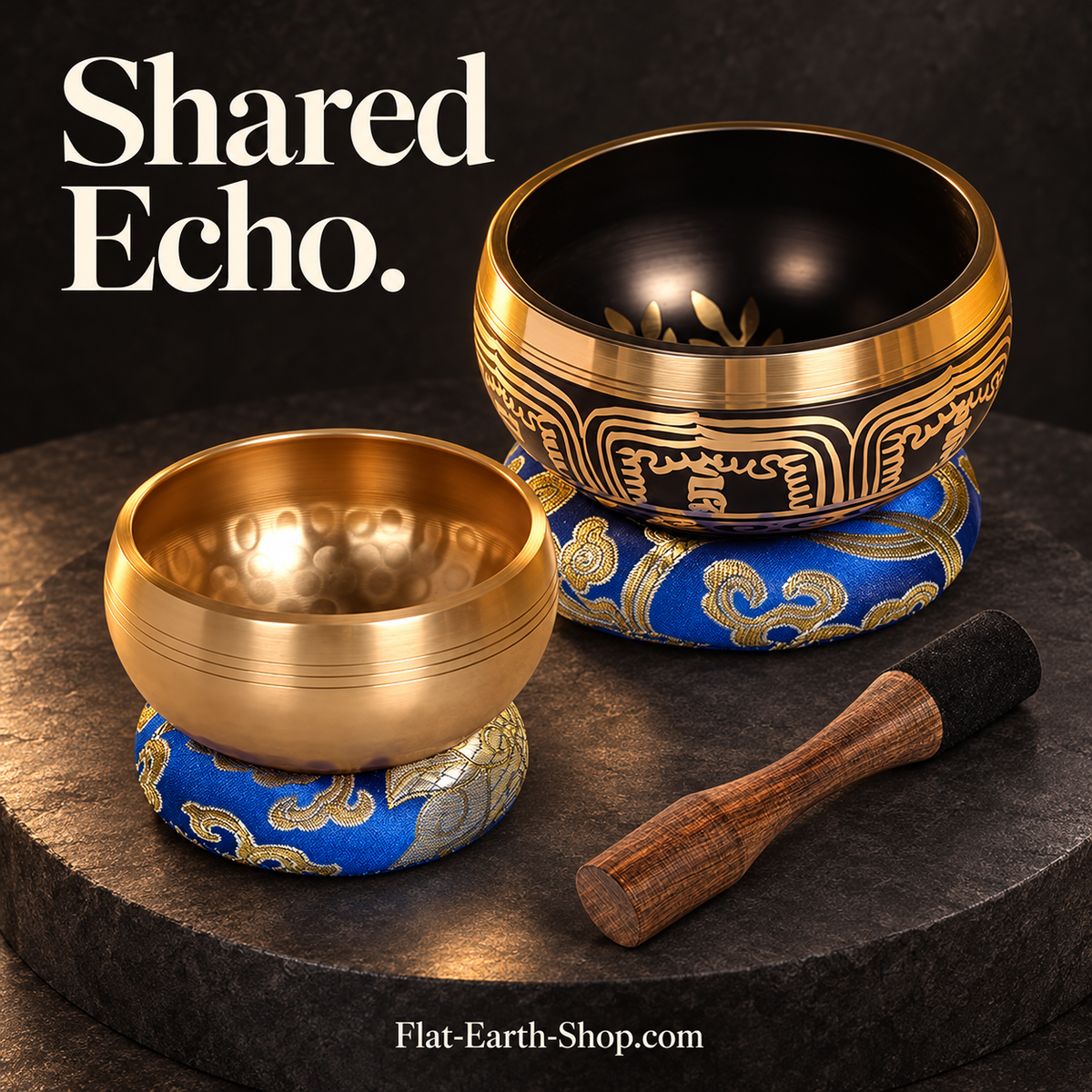 shared echo singing bowl set in dark studio