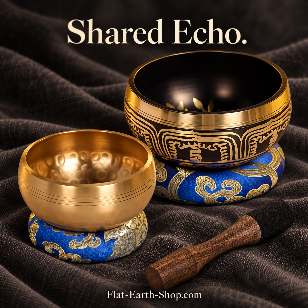shared echo singing bowl set in dark studio