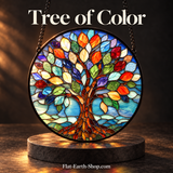 Tree of Color — dark studio photograph 1