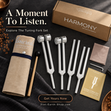 Four-tone tuning fork set